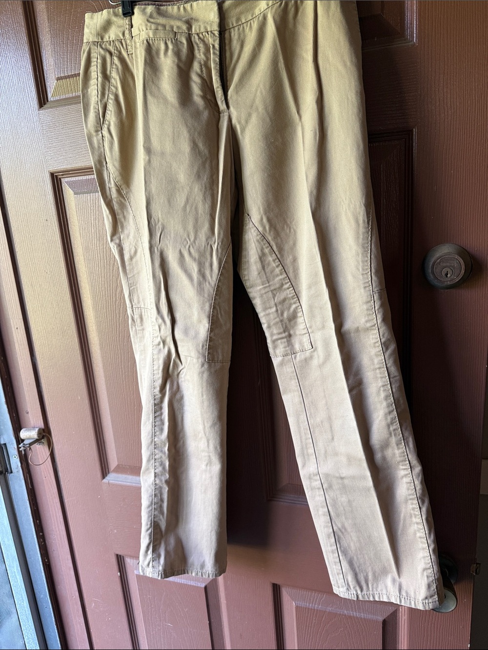 Ann Taylor LOFT Ladies Riding Pants. Tan Corduroy 6P